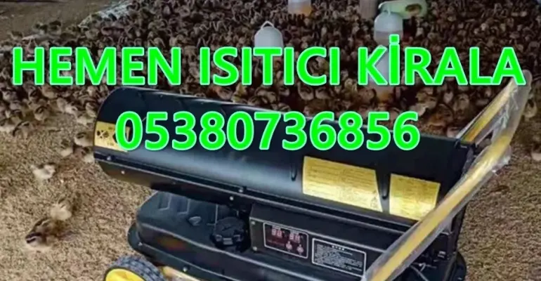 Mutfak Nem Kurutma Nedir? Nasıl Yapılır? Şirketi